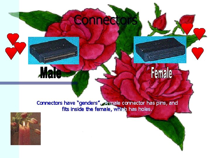 Connectors have “genders”. A male connector has pins, and fits inside the female, which
