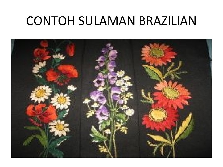 CONTOH SULAMAN BRAZILIAN 