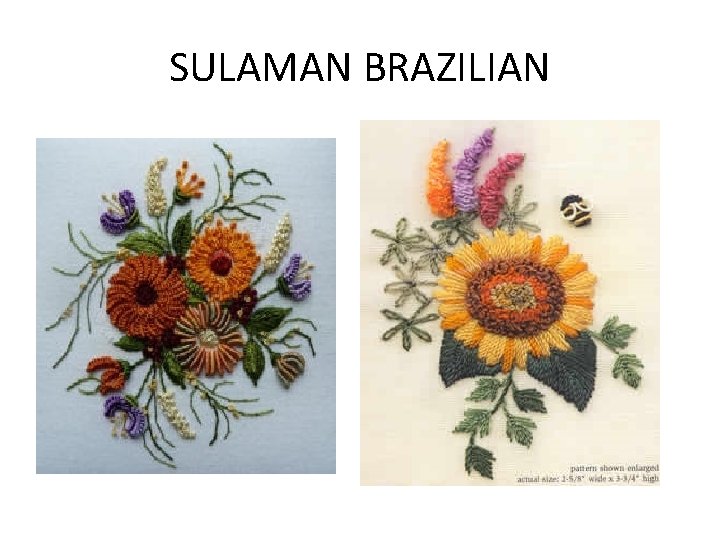 SULAMAN BRAZILIAN 
