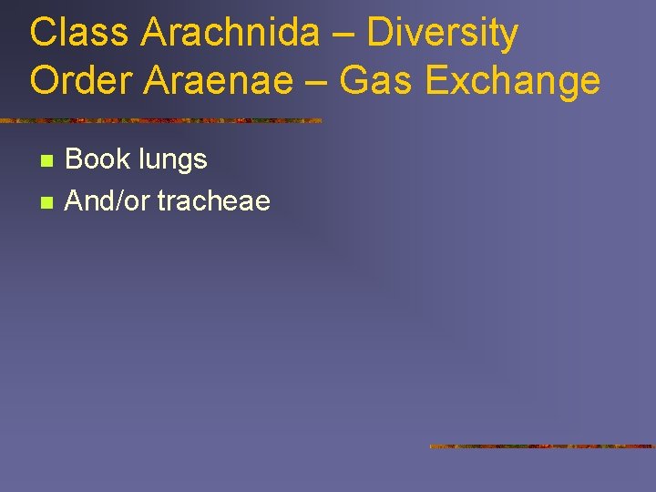 Class Arachnida – Diversity Order Araenae – Gas Exchange n n Book lungs And/or