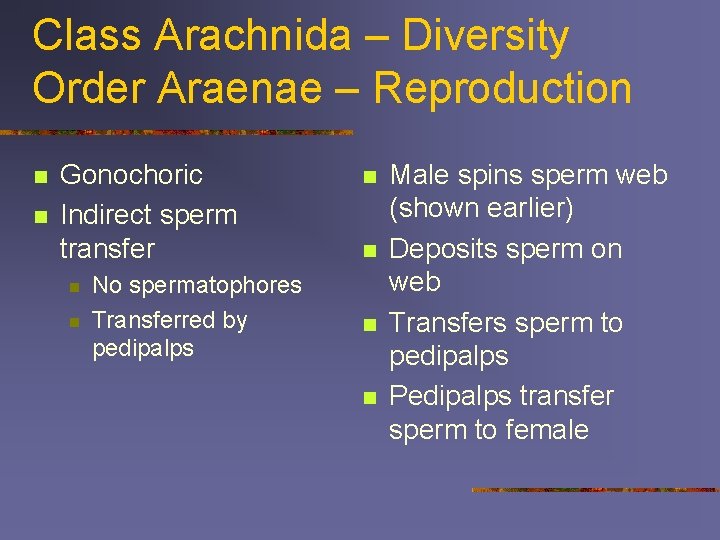 Class Arachnida – Diversity Order Araenae – Reproduction n n Gonochoric Indirect sperm transfer