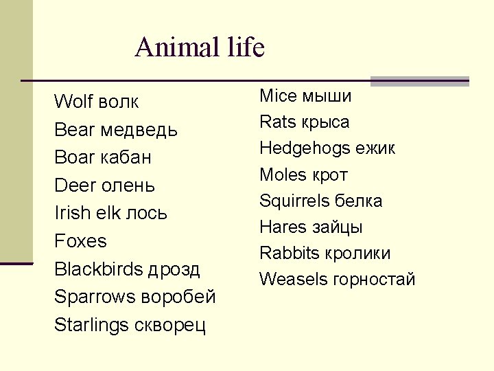 Animal life Wolf волк Bear медведь Boar кабан Deer олень Irish elk лось Foxes