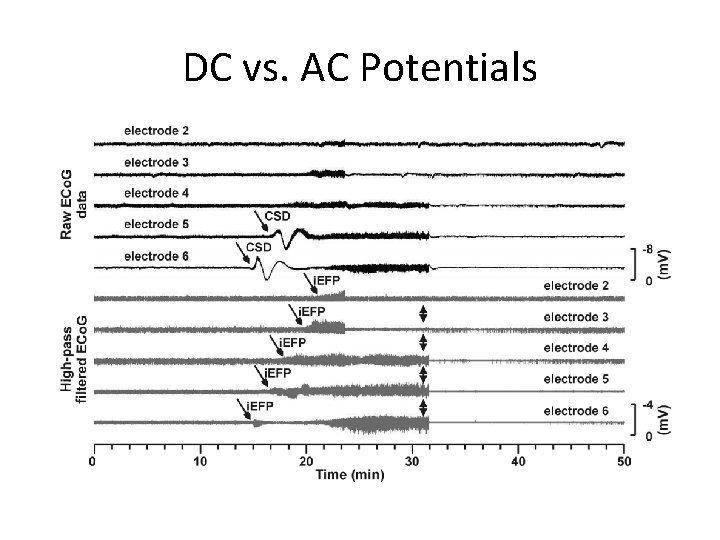 DC vs. AC Potentials 