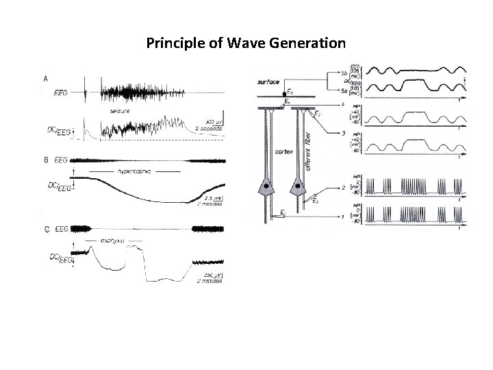 Principle of Wave Generation 