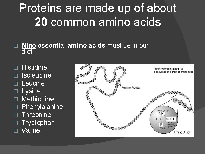 Proteins are made up of about 20 common amino acids � Nine essential amino