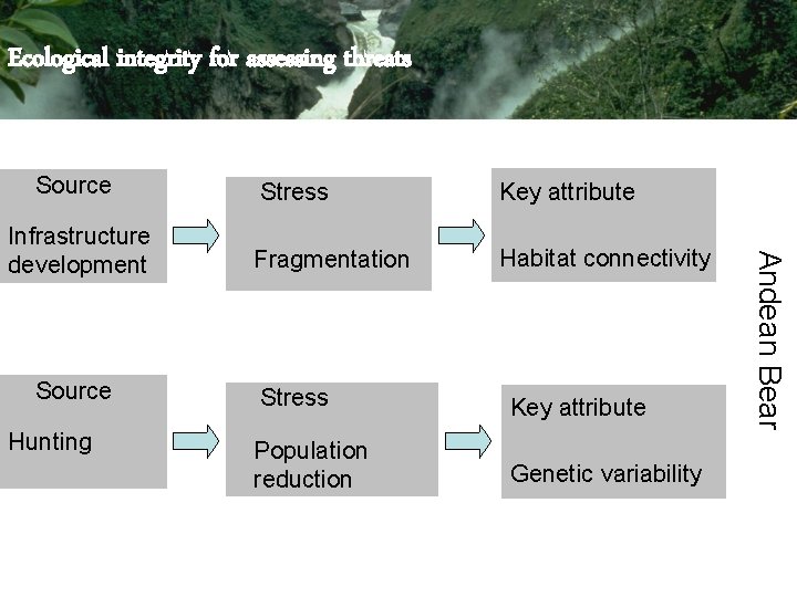 Ecological integrity for assessing threats Source Hunting Key attribute Fragmentation Habitat connectivity Stress Key