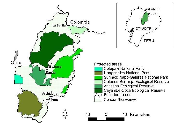 CONDOR BIORESERVE 