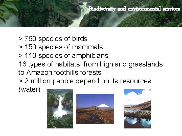 Biodiversity and environmental services > 760 species of birds > 150 species of mammals
