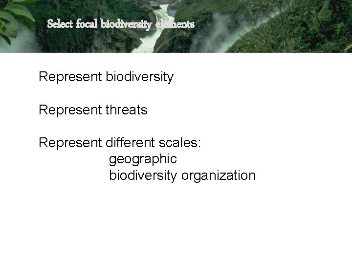 Select focal biodiversity elements Represent biodiversity Represent threats Represent different scales: geographic biodiversity organization