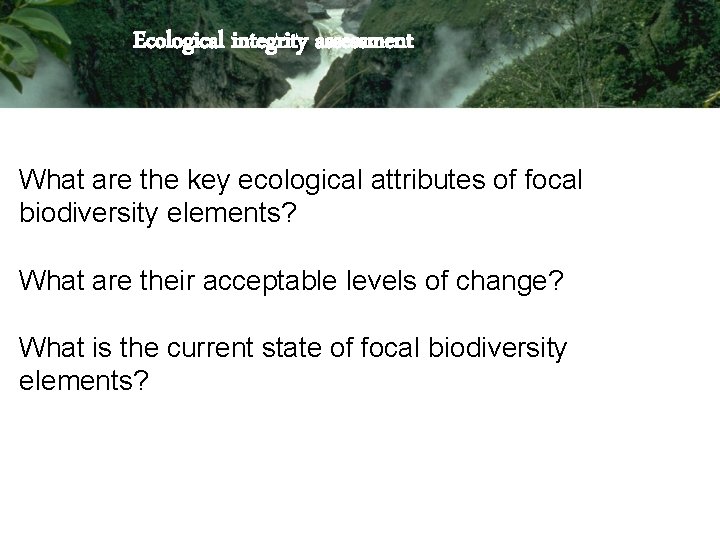 Ecological integrity assessment What are the key ecological attributes of focal biodiversity elements? What
