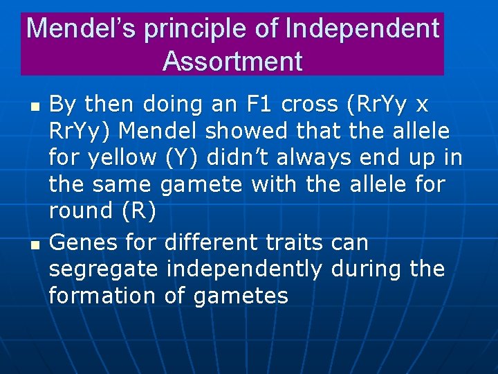 Mendel’s principle of Independent Assortment n n By then doing an F 1 cross