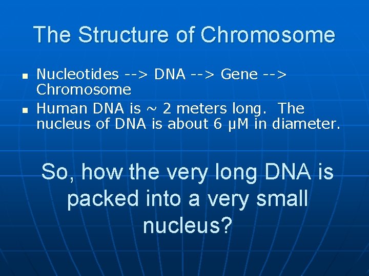 The Structure of Chromosome n n Nucleotides --> DNA --> Gene --> Chromosome Human