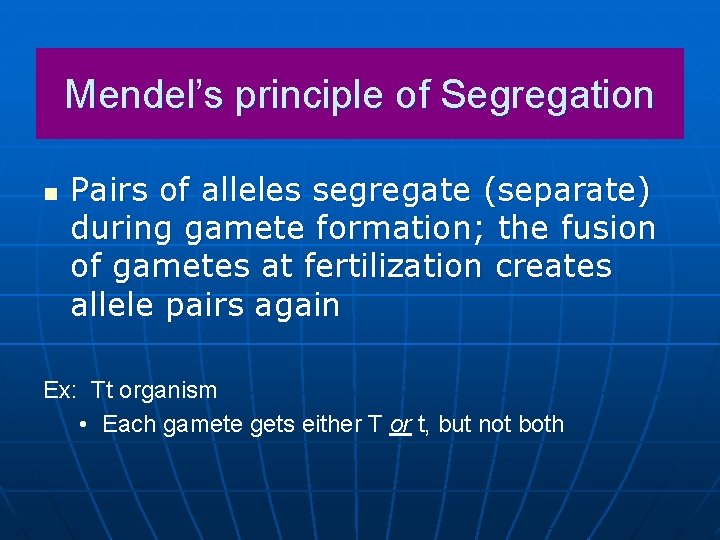 Mendel’s principle of Segregation n Pairs of alleles segregate (separate) during gamete formation; the