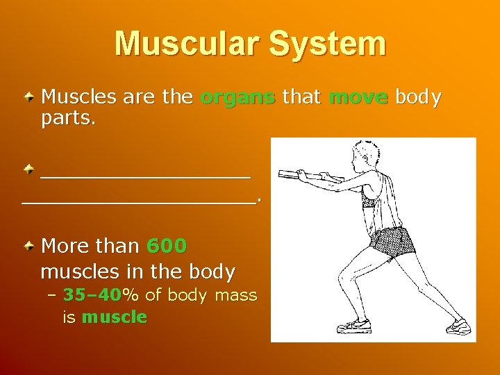 Muscular System Muscles are the organs that move body parts. ___________________. More than 600