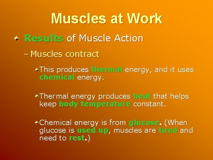 Muscles at Work Results of Muscle Action – Muscles contract This produces thermal energy,