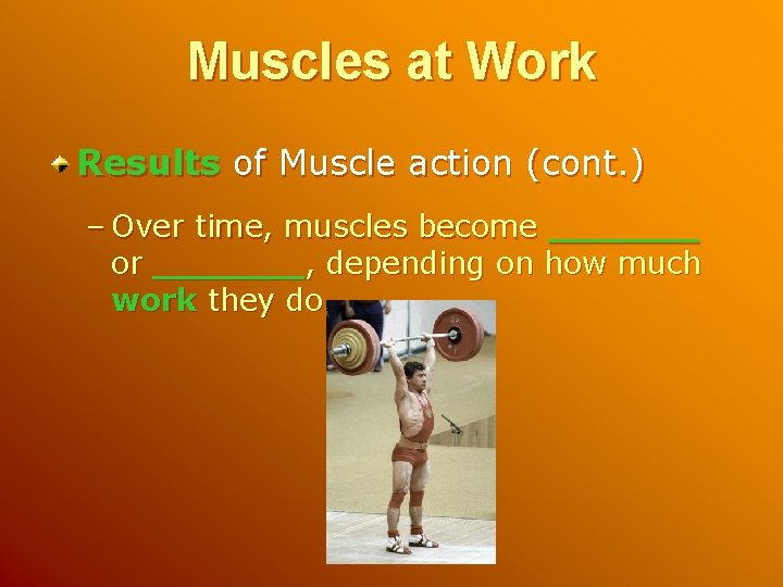 Muscles at Work Results of Muscle action (cont. ) – Over time, muscles become