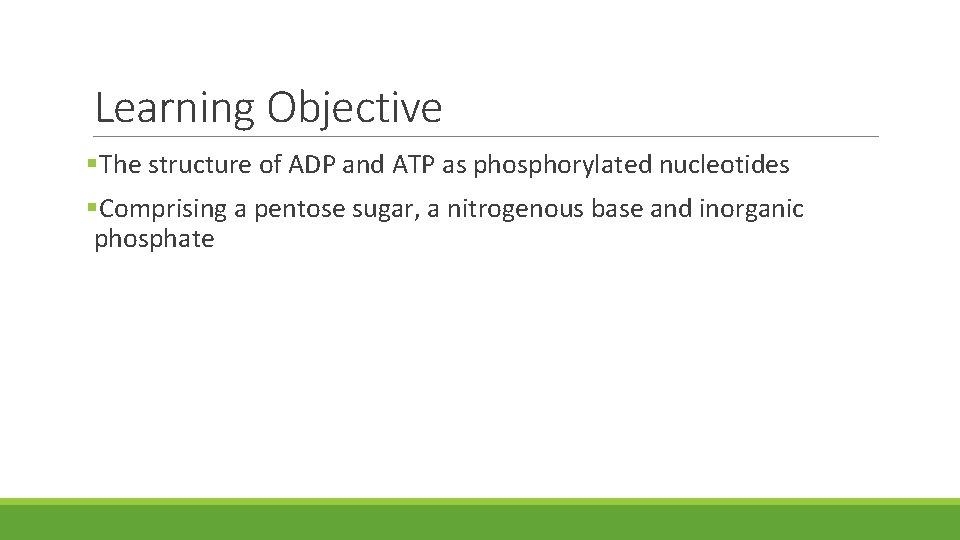 Learning Objective §The structure of ADP and ATP as phosphorylated nucleotides §Comprising a pentose Learning Objective §The structure of ADP and ATP as phosphorylated nucleotides §Comprising a pentose