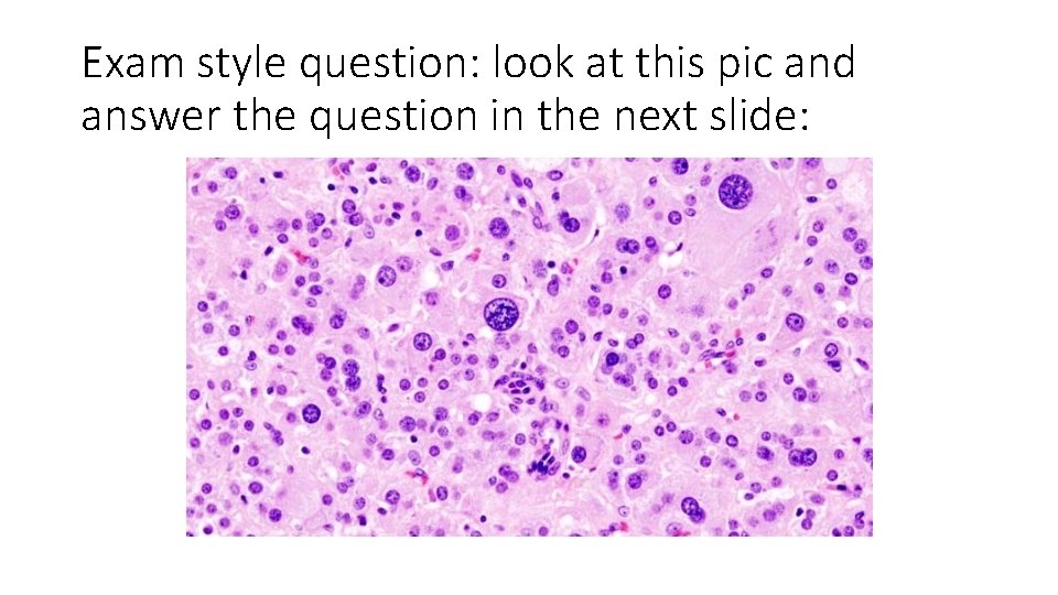Exam style question: look at this pic and answer the question in the next
