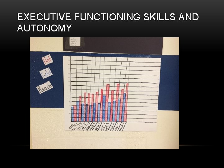 EXECUTIVE FUNCTIONING SKILLS AND AUTONOMY 