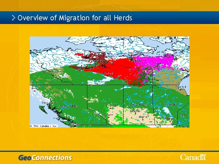 Overview of Migration for all Herds 