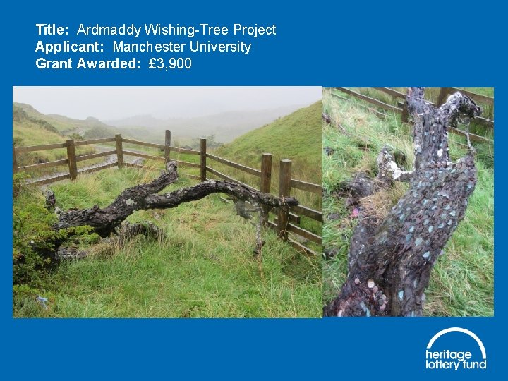 Title: Ardmaddy Wishing-Tree Project Applicant: Manchester University Grant Awarded: £ 3, 900 