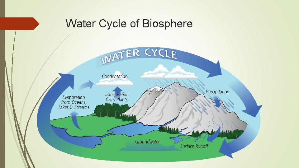 Water Cycle of Biosphere 