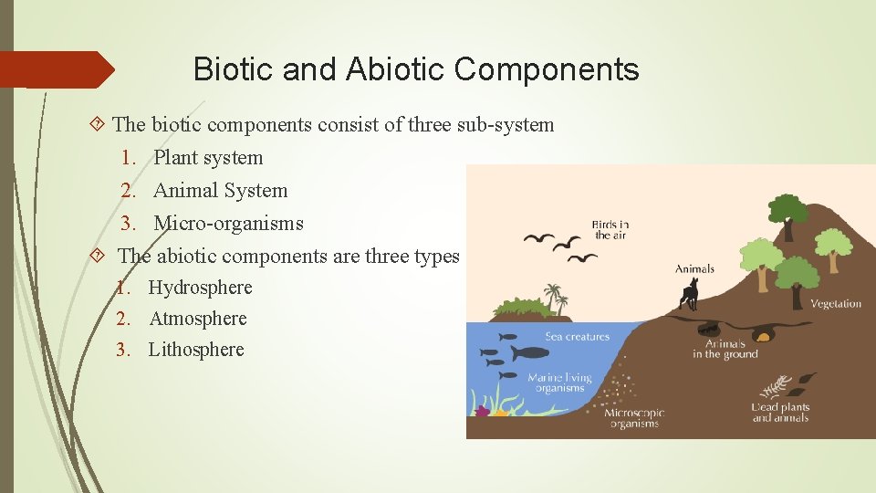 Biotic and Abiotic Components The biotic components consist of three sub-system 1. Plant system