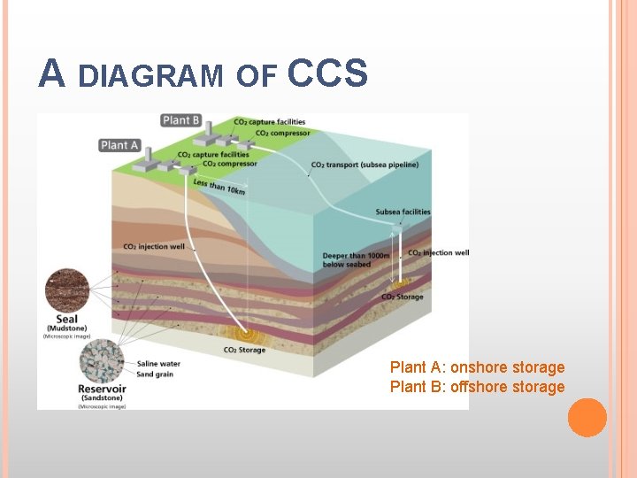 A DIAGRAM OF CCS Plant A: onshore storage Plant B: offshore storage 