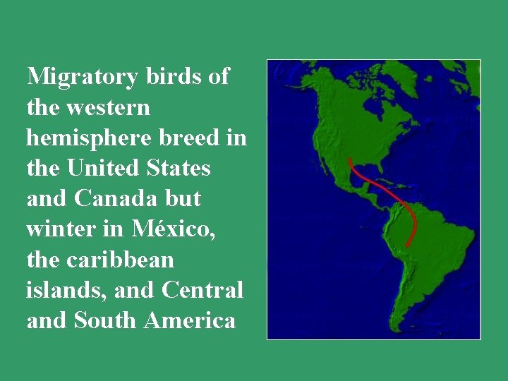 Migratory birds of the western hemisphere breed in the United States and Canada but