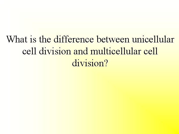 What is the difference between unicellular cell division and multicellular cell division? 