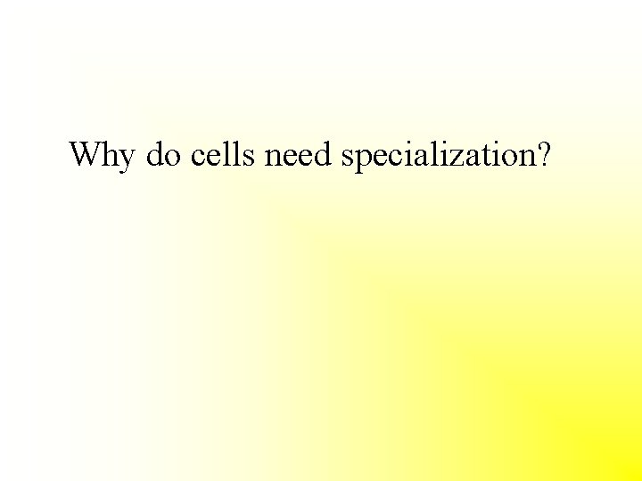 Why do cells need specialization? 