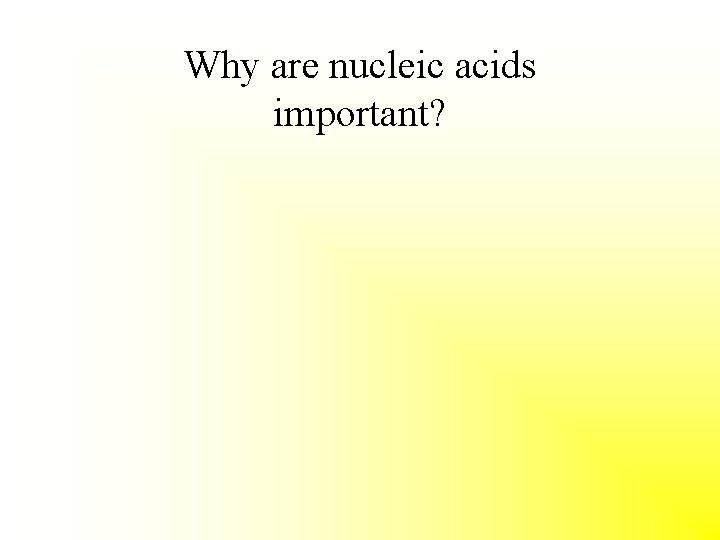 Why are nucleic acids important? 