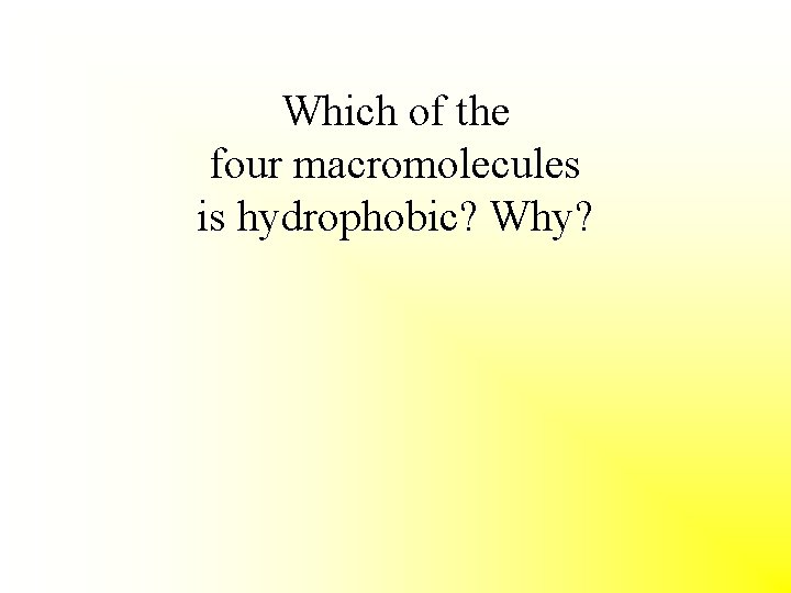 Which of the four macromolecules is hydrophobic? Why? 