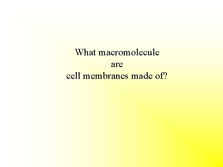 What macromolecule are cell membranes made of? 