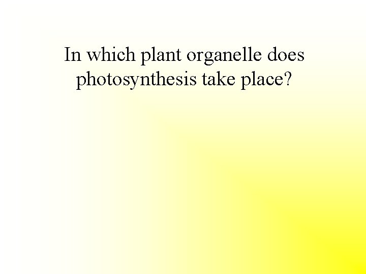 In which plant organelle does photosynthesis take place? 