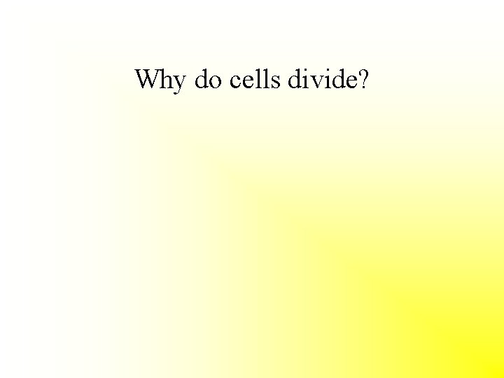 Why do cells divide? 