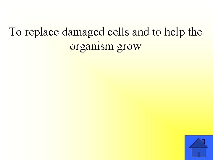To replace damaged cells and to help the organism grow 