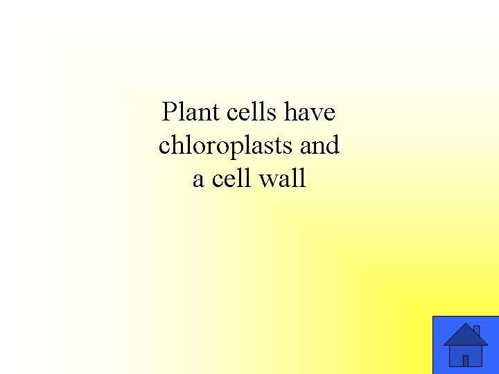 Plant cells have chloroplasts and a cell wall 