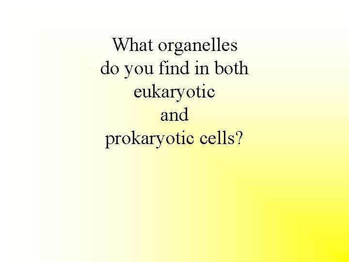 What organelles do you find in both eukaryotic and prokaryotic cells? 