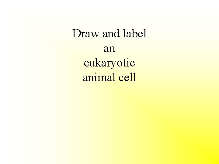 Draw and label an eukaryotic animal cell 