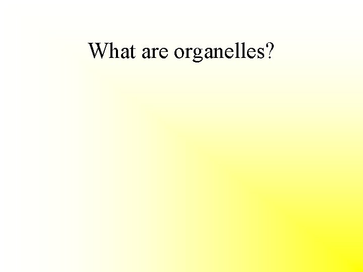 What are organelles? 