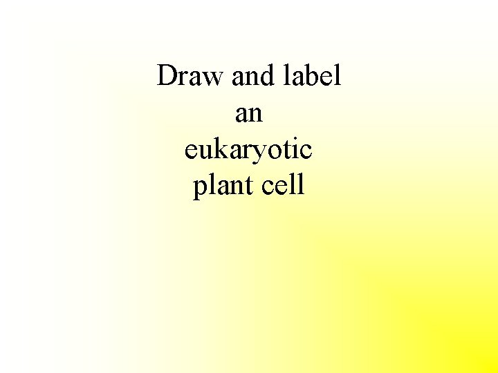 Draw and label an eukaryotic plant cell 