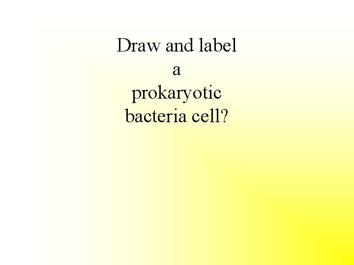 Draw and label a prokaryotic bacteria cell? 