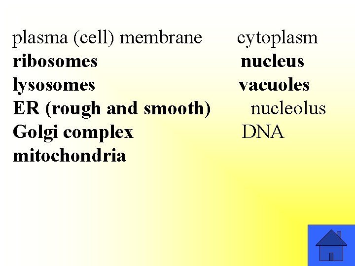 plasma (cell) membrane ribosomes lysosomes ER (rough and smooth) Golgi complex mitochondria cytoplasm nucleus