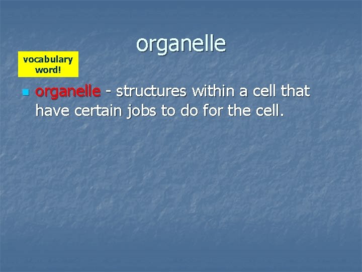 vocabulary word! n organelle - structures within a cell that have certain jobs to