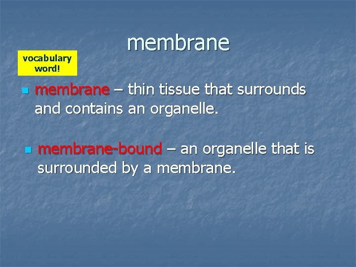 vocabulary word! n n membrane – thin tissue that surrounds and contains an organelle.