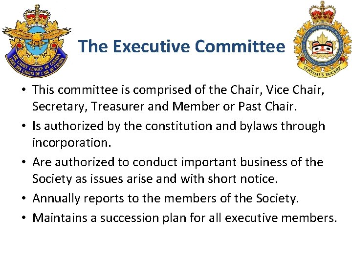 The Executive Committee • This committee is comprised of the Chair, Vice Chair, Secretary,