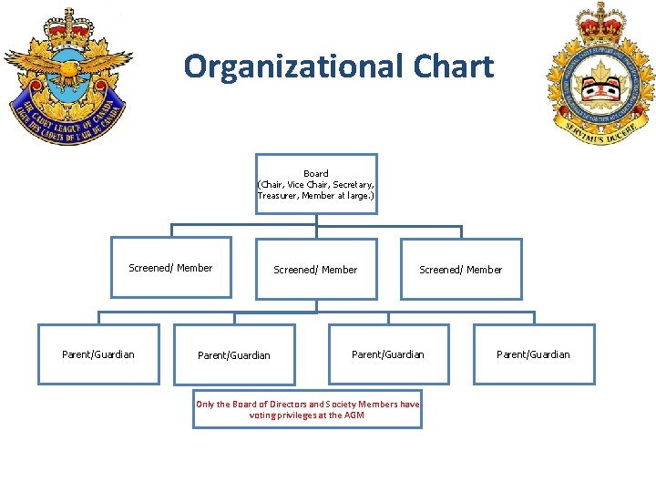 Organizational Chart Board (Chair, Vice Chair, Secretary, Treasurer, Member at large. ) Screened/ Member