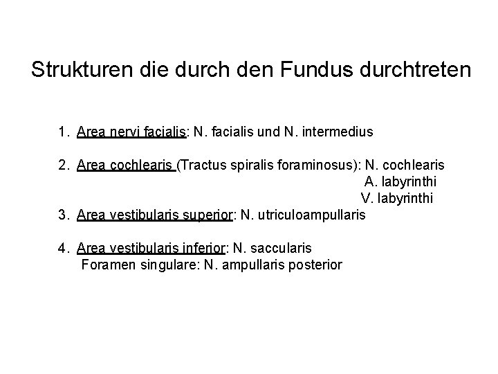 Strukturen die durch den Fundus durchtreten 1. Area nervi facialis: N. facialis und N.