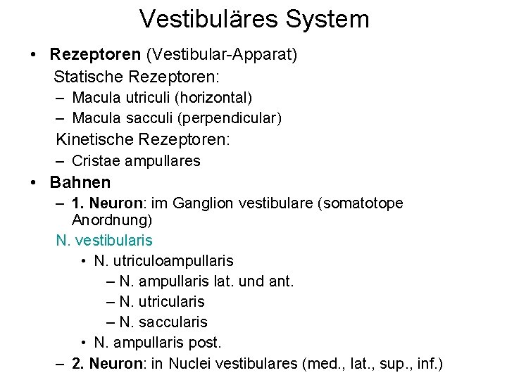 Vestibuläres System • Rezeptoren (Vestibular-Apparat) Statische Rezeptoren: – Macula utriculi (horizontal) – Macula sacculi